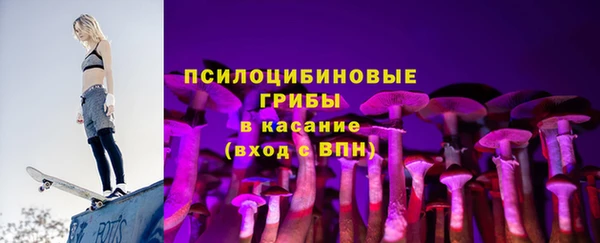 PSILOCYBIN Богородицк