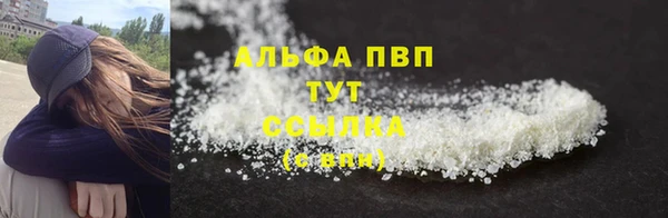 PSILOCYBIN Богородицк