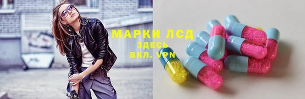 PSILOCYBIN Богородицк