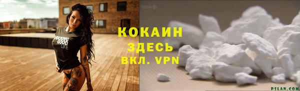 PSILOCYBIN Богородицк