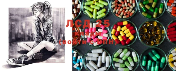 PSILOCYBIN Богородицк