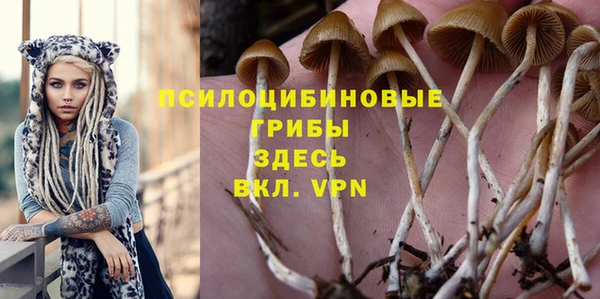PSILOCYBIN Богородицк