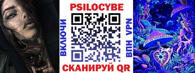Псилоцибиновые грибы Psilocybe Навашино